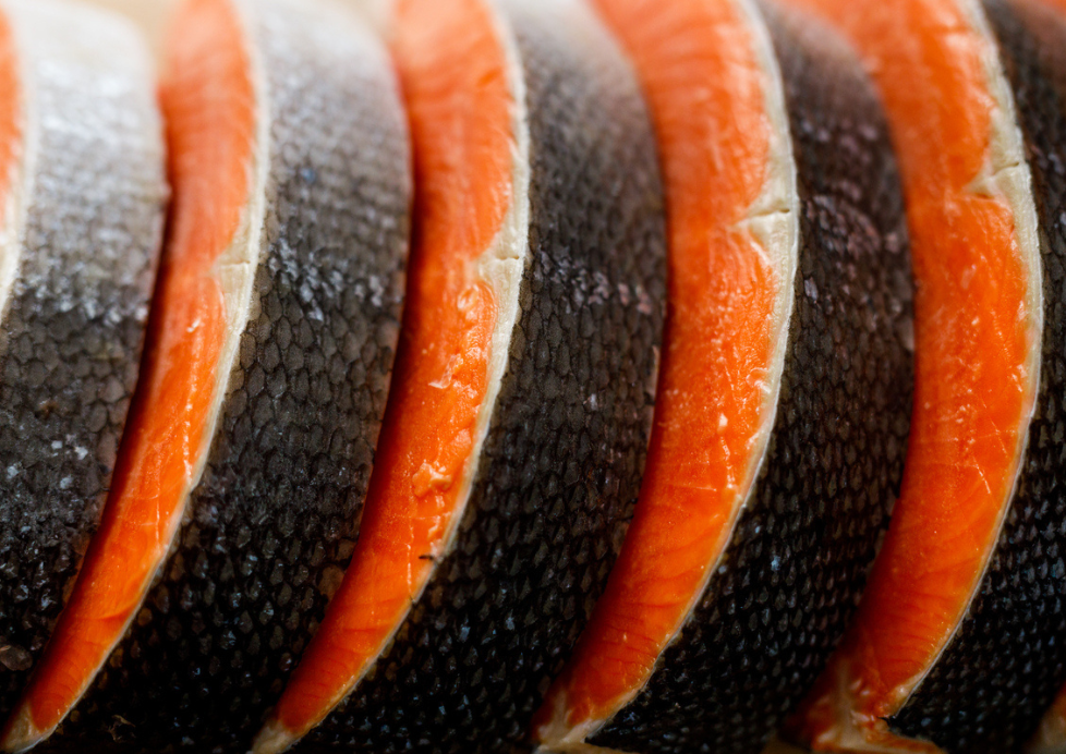 Salmão Rei do Alasca - KING SALMON (CHINOOK)