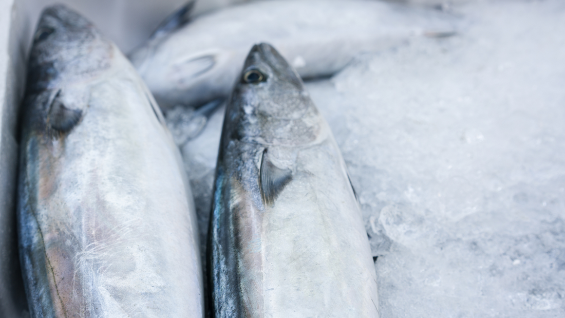 Peixe e Frutos do mar é muito caro?