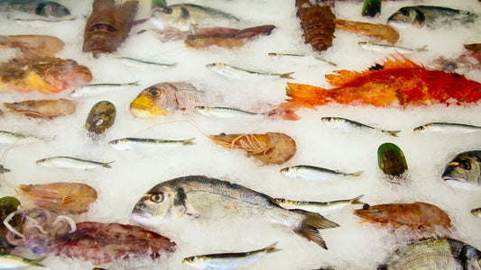 FishCode e a Semana do Pescado: Conheça a Revolução na Consumo de Peixes