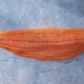 Salmão Keta do Alasca