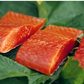 Salmão Sockeye (Red Salmon) do Alasca