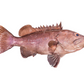 Cherne Polveiro