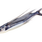 Peixe Voador
