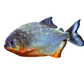 Piranha
