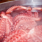 Polvo