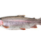 Truta Salmonada