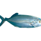 Xerelete